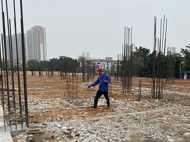 禅城验收白蚁机构新建房屋应如何预防白蚁