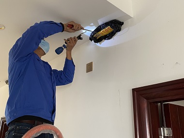 高明杀灭白蚁——如何正确有效地灭白蚁