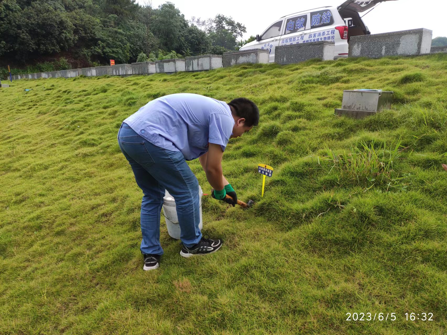 佛山验收白蚁公司水库堤坝白蚁怎么防治