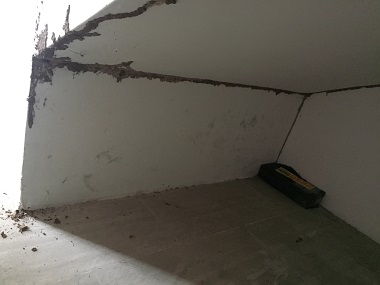 禅城白蚁防治所——卫生间容易招白蚁吗?