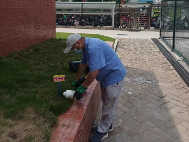 三水蚁害防控中心如何治理红火蚁危害